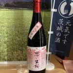 思い出桜 (おもいでざくら) 日本酒 茨城 萩原酒造