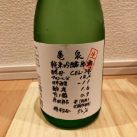 高知県の酒