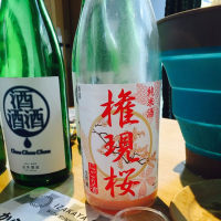 権現桜