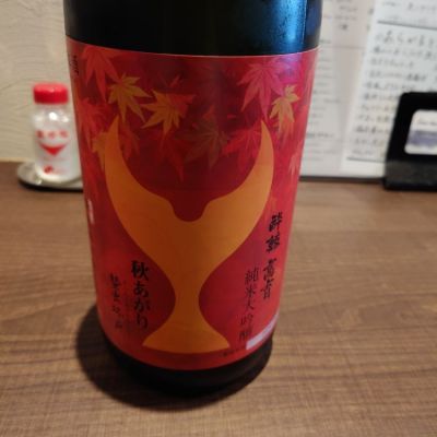 高知県の酒