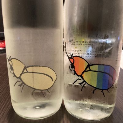 仙禽 カブトムシ - 日本酒