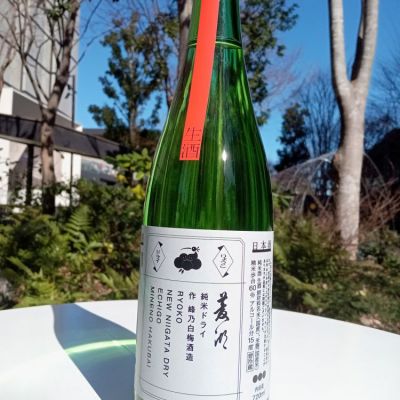 新潟県の酒