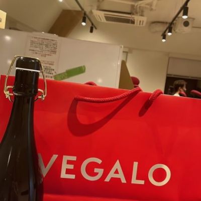 VEGALOのレビュー by_mero