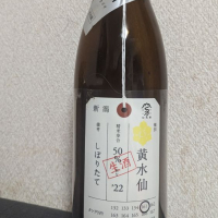 新潟県の酒