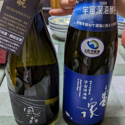 高知県の酒