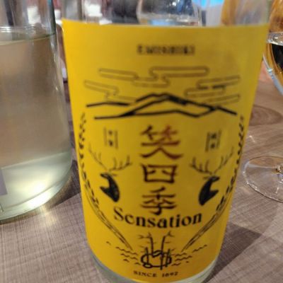 SENSATIONのレビュー by_しん