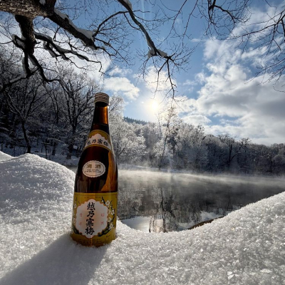 新潟県の酒