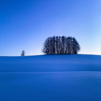 雪月花のレビュー by_BZKF