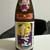 新潟県の酒