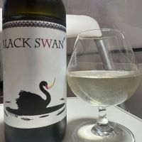 
            BLACK SWAN_
            じんじんさん