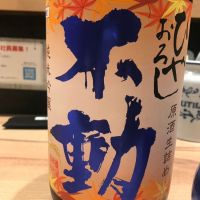 不動のレビュー by_畠山央至_飲食コンサルティング