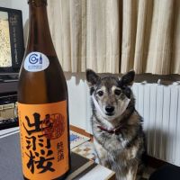 山形県の酒