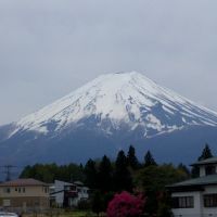 井津美屋