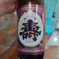 磐城壽_
            G漢さん