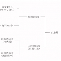 信州亀齢のレビュー by_☆Shige☆