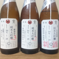 
            荷札酒_
            katachiimさん