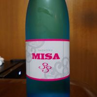 33 MISA