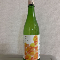 新潟県の酒