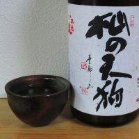 
            杣の天狗_
            酔楽さん