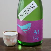 
            庭のうぐいす_
            酔楽さん