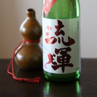 
            流輝_
            酔楽さん