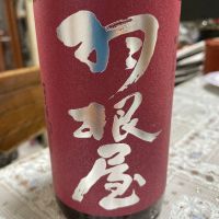 
            羽根屋_
            飲んだらけさん