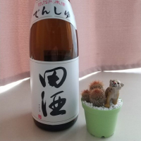 田酒