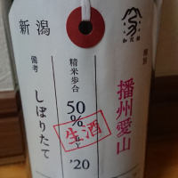 
            荷札酒_
            田川の鯉さん