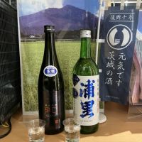 茨城県の酒