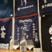 櫛羅_
            ドフラミンゴさん