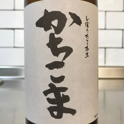 いつぺいそつさん(2021年1月22日)の日本酒「勝駒」レビュー | 日本酒