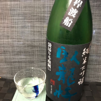 
            臥龍梅_
            スズ生酛さん