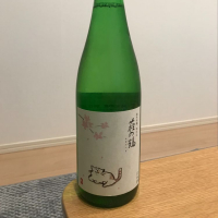 宮城県の酒