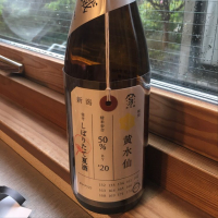 新潟県の酒