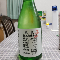 高知県の酒